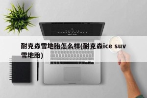 耐克森雪地胎怎么样(耐克森ice suv雪地胎)