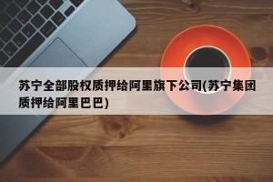 苏宁全部股权质押给阿里旗下公司(苏宁集团质押给阿里巴巴)