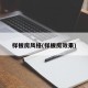 样板房风格(样板房效果)