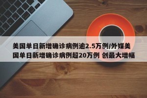 美国单日新增确诊病例逾2.5万例/外媒美国单日新增确诊病例超20万例 创最大增幅