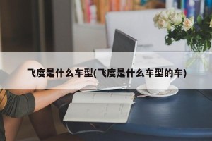 飞度是什么车型(飞度是什么车型的车)