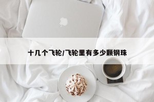 十几个飞轮/飞轮里有多少颗钢珠