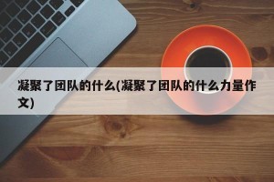 凝聚了团队的什么(凝聚了团队的什么力量作文)