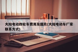 大阳电动四轮车费用及图片(大阳电动车厂家联系方式)