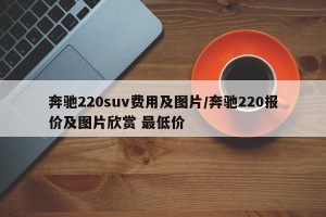 奔驰220suv费用及图片/奔驰220报价及图片欣赏 最低价