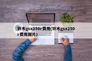 铃木gsx250r费用(铃木gsx250r费用图片)