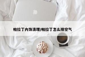 帕拉丁内饰清理/帕拉丁怎么排空气
