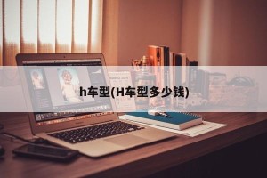 h车型(H车型多少钱)