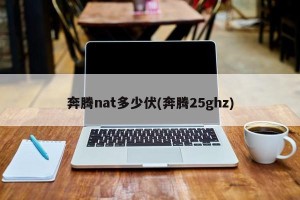 奔腾nat多少伏(奔腾25ghz)