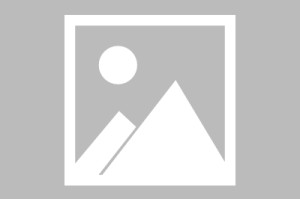 美国的最新疫情情况/美国最新疫情疫情