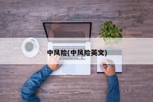 中风险(中风险英文)