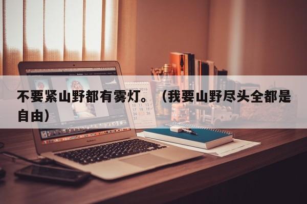 不要紧山野都有雾灯。(我要山野尽头全都是自由)