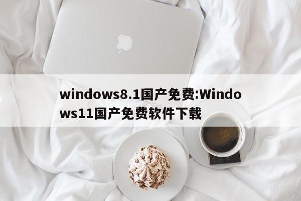 windows8.1国产免费:Windows11国产免费软件下载