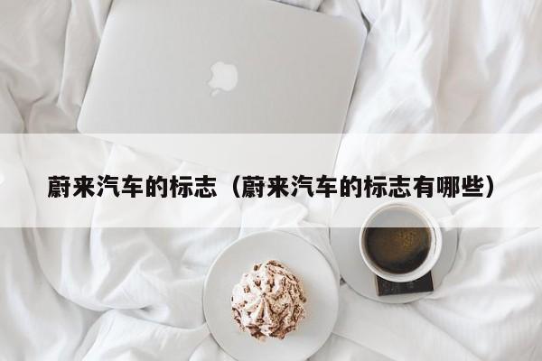 蔚来汽车的标志(蔚来汽车的标志有哪些)