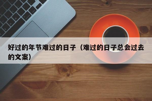 好过的年节难过的日子(难过的日子总会过去的文案)