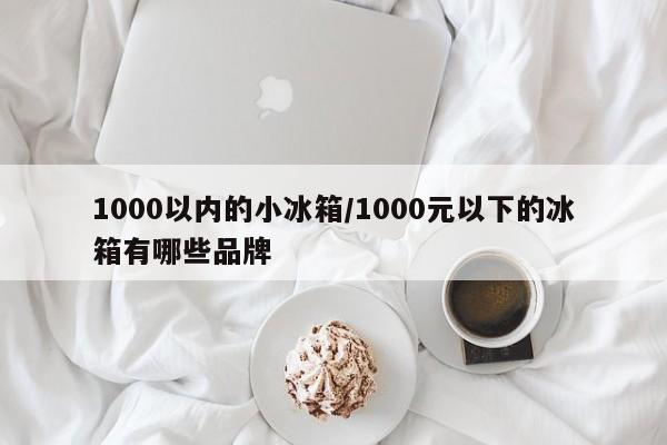 1000以内的小冰箱/1000元以下的冰箱有哪些品牌